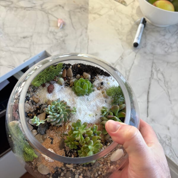 Make Your Own Succulent Terrarium with DIY Kit review by Kieran O