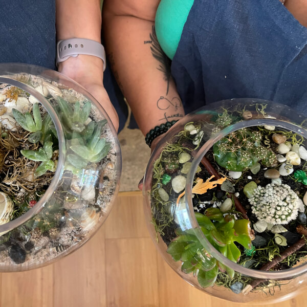 Make Your Own Terrarium Workshop review by Marcia Sepulveda - Sydney