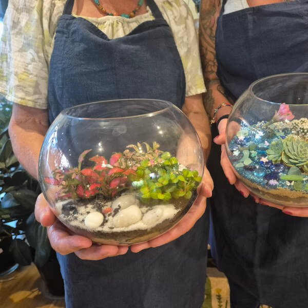 Make Your Own Terrarium Workshop review by Liz Asher - Sydney