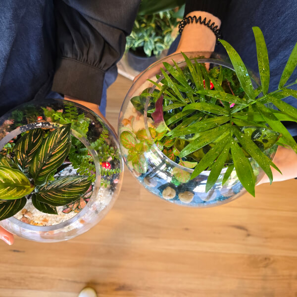 Make Your Own Terrarium Workshop review by Nancy Wang - Sydney