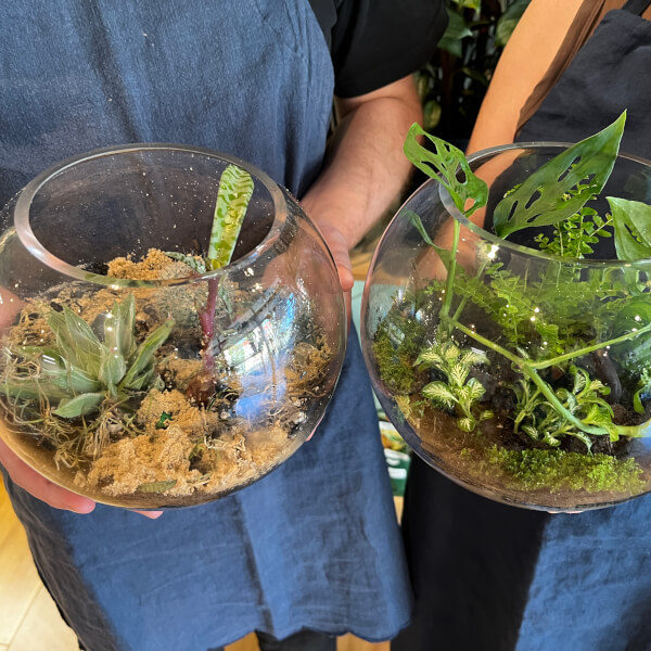 Make Your Own Terrarium Workshop review by Taylor Rundell - Sydney