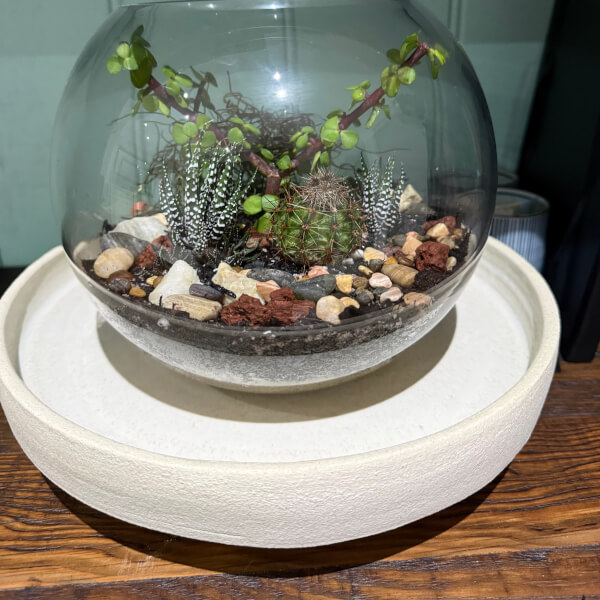 Make Your Own Terrarium Workshop review by Andrew and Medina - Sydney