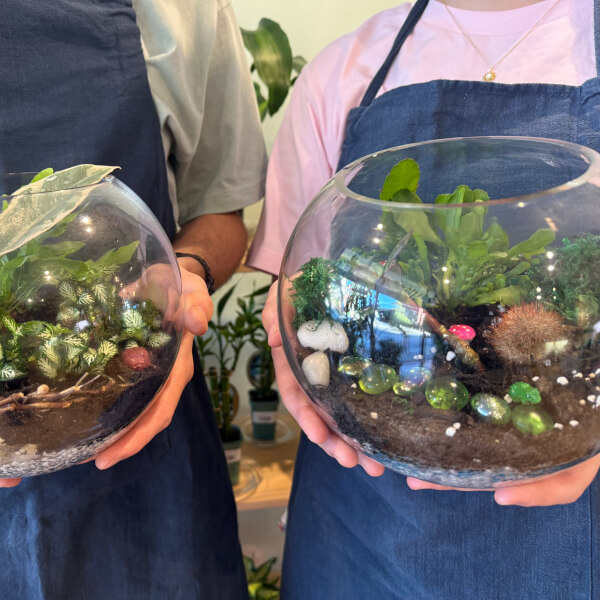 Make Your Own Terrarium Workshop review by Luca Craig-Cifali - Sydney