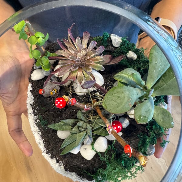 Make Your Own Terrarium Workshop review by Deval Patel - Sydney