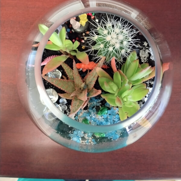 Make Your Own Terrarium Workshop review by Erin Leite - Sydney