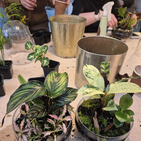 Mindful Making Workshop: Mini Moss Terrarium review by Toni Colombo - Melbourne