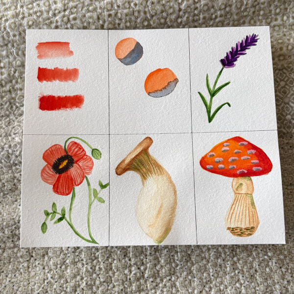 Mushrooms and Floral Watercolour Workshop (3 Hours and 10 Mins) review by Rashmi Baijnath - Melbourne