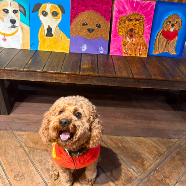 Paint and Sip Class: Paint Your Dog review by Dong Nguyen - Melbourne