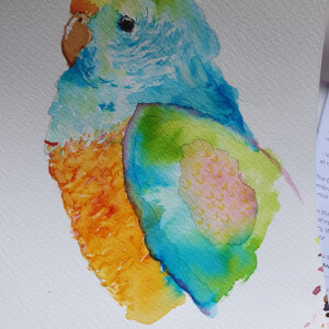 Paint Beautiful Watercolour Birds at Home | Online class & kit | ClassBento
