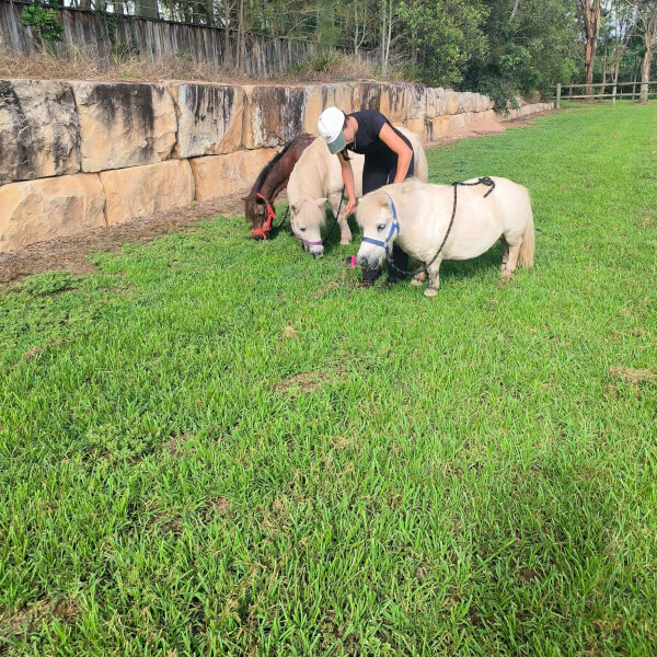 Pony Friendship Workshop review by Mahta Ezabadi - Sydney