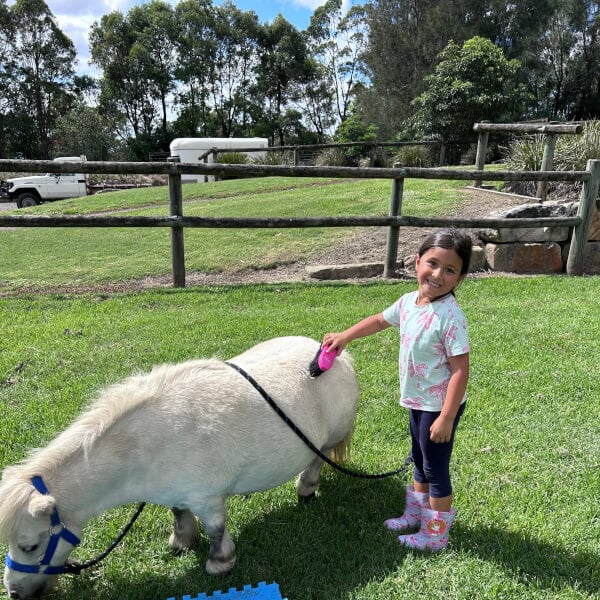Pony Friendship Workshop review by Michelle Handosa - Sydney