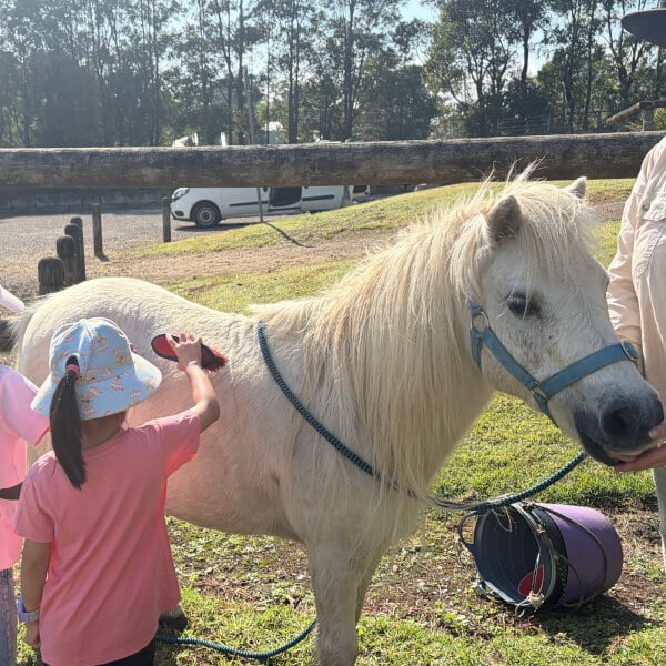 Pony Friendship Workshop review by Vivian Ng - Sydney