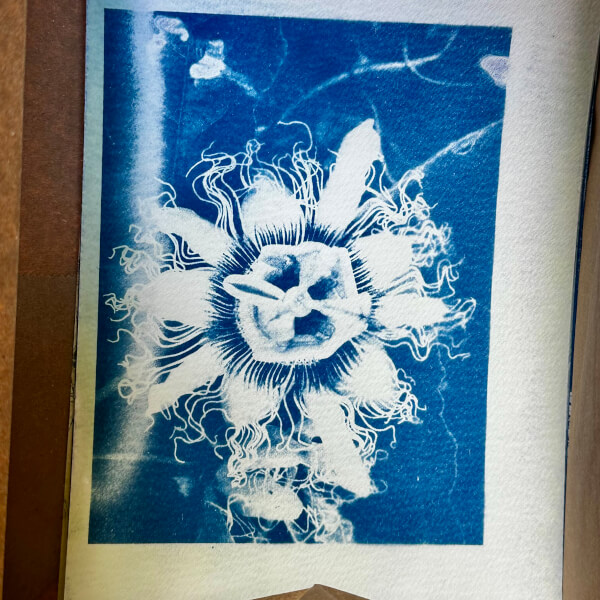 Print Your Photographs as Cyanotype Prints Workshop review by Laura Manchester - Sydney