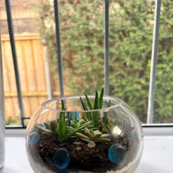 Succulent Terrarium Making Workshop review by Linda Tomasiello - Sydney