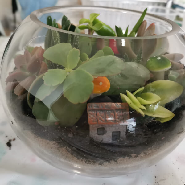 Succulent Terrarium Making Workshop review by Camilla Leong - Sydney