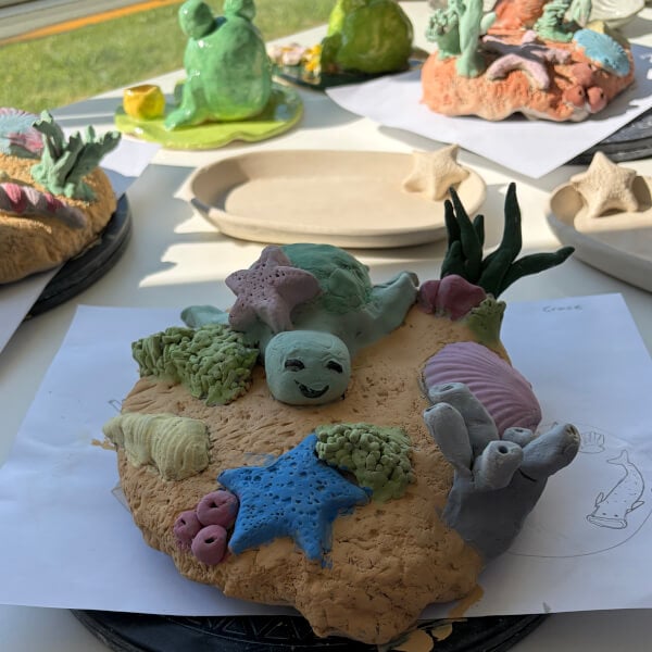 Teen Pottery Workshop: Sea World Creations review by Emma Seeto - Sydney