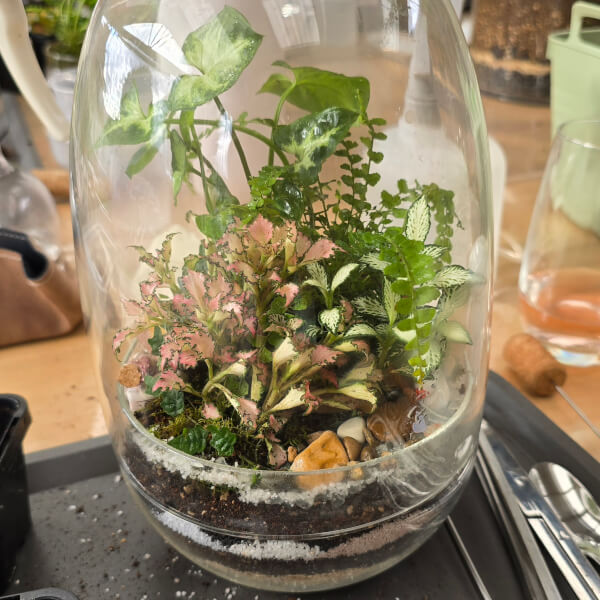 Best gift experience review