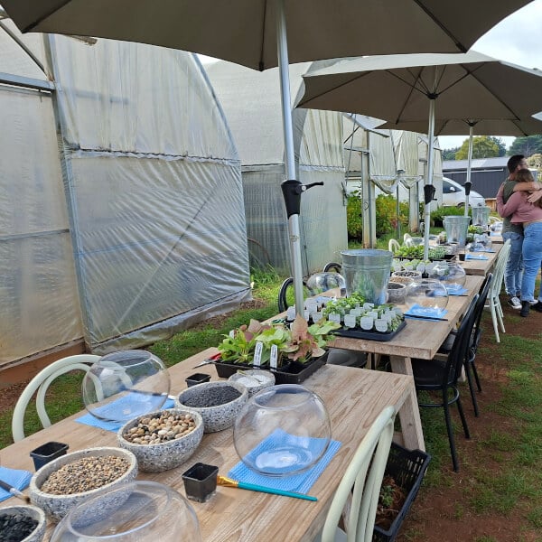 Terrarium Workshop for Beginners review by Andrew English - Melbourne