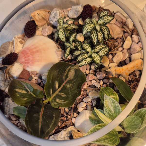 Terrarium Workshop for Beginners review by Leah Armstrong - Melbourne