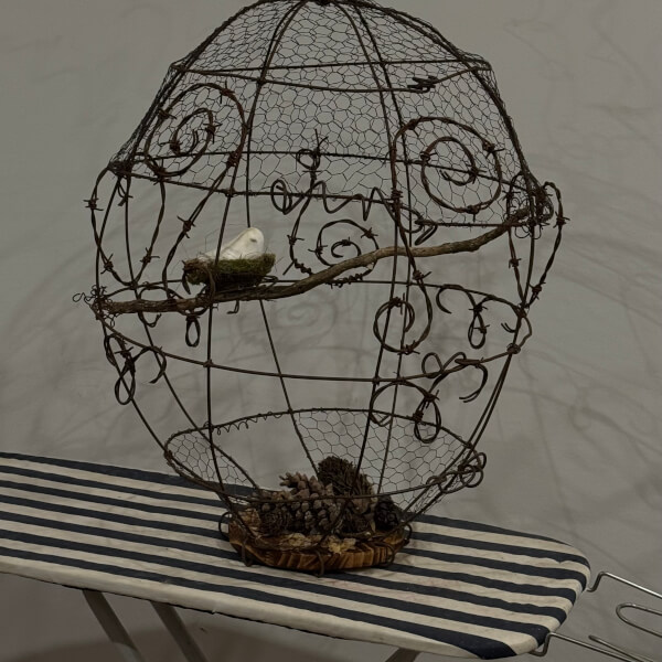 The Embellished Birdcage Workshop review by Jacqui Harman - NSW Country