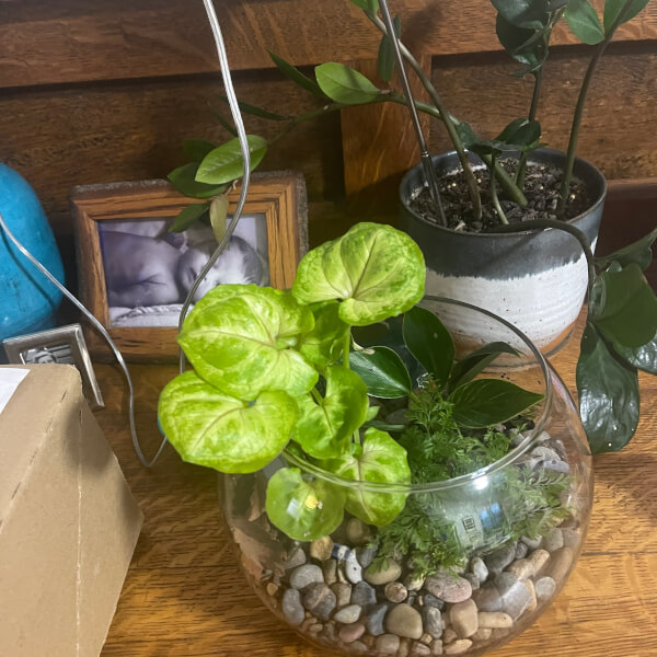 Tipsy Terrarium Workshop: Make and Sip review by Samantha Levey - Melbourne