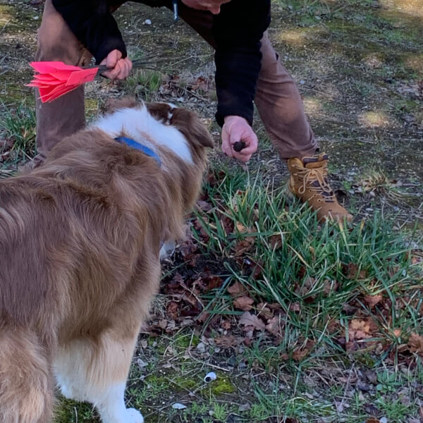 Truffle Hunt and Tasting Experience review by Andre Campbell - Melbourne