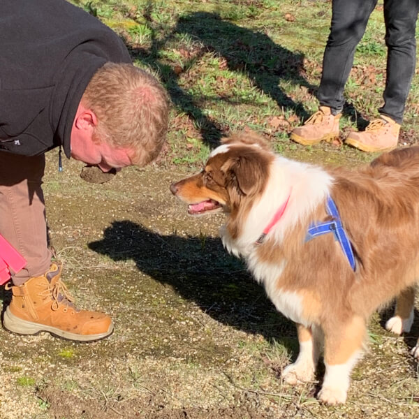 Truffle Hunt and Tasting Experience review by Andre Campbell - Melbourne