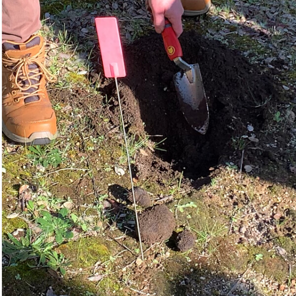 Truffle Hunt and Tasting Experience review by Andre Campbell - Melbourne