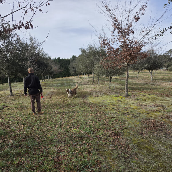 Truffle Hunt and Tasting Experience review by Rod Evans - Melbourne