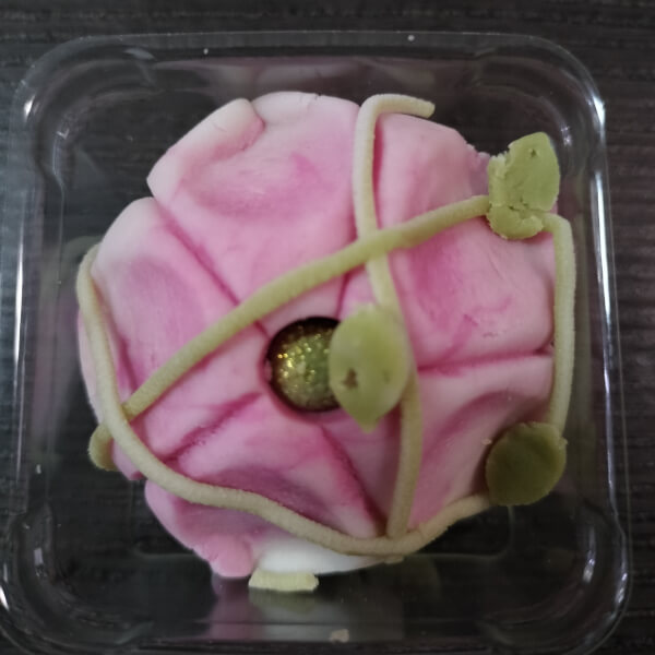 Best gift experience review