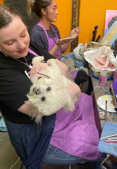 Paint and Sip Class: Paint Your Dog