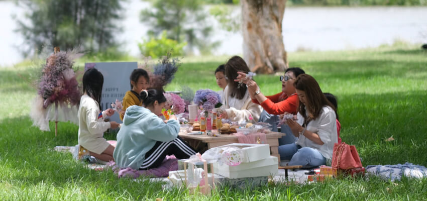 Picnic Ideas and Experiences Western Sydney