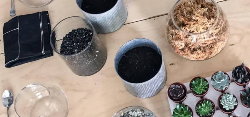 Rainy Day Activities Western Sydney