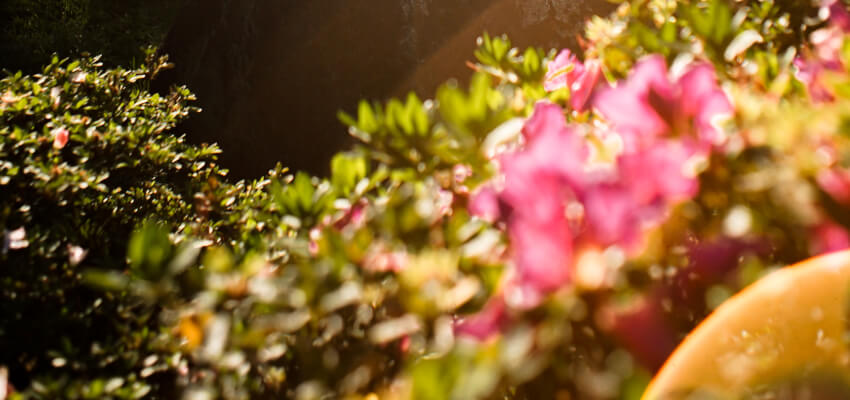 Spirituality Classes - Melbourne
