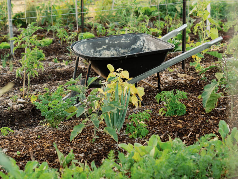 11 Acre Farm