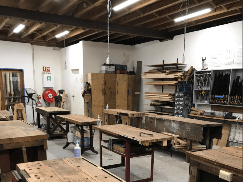 Book Among the Trees