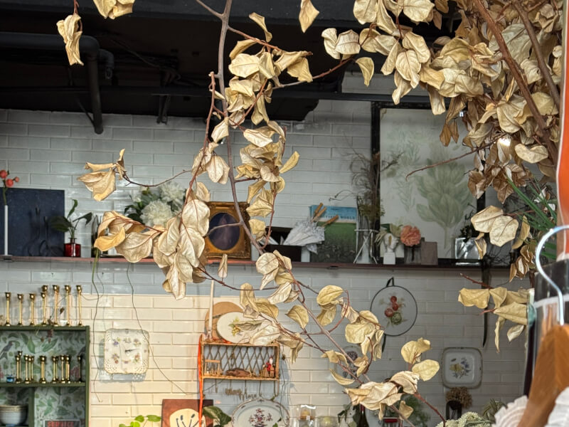 Ampersand Sydney