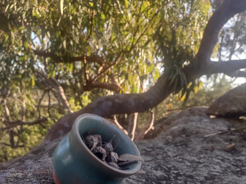 Andinas Pottery Studio