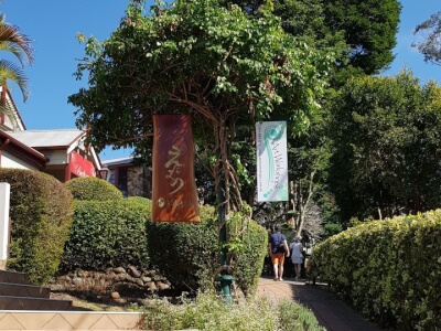 Art Workshop Studio at the Belvedere available for workshops