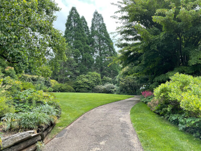 Blue Mountains Botanic Gardens Mt Tomah class venue