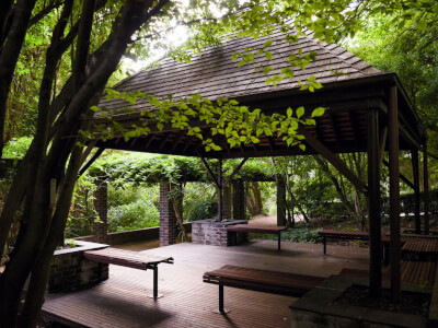 Blue Mountains Botanic Gardens Mt Tomah