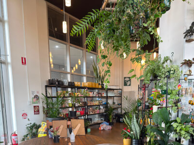 Botanical Studio