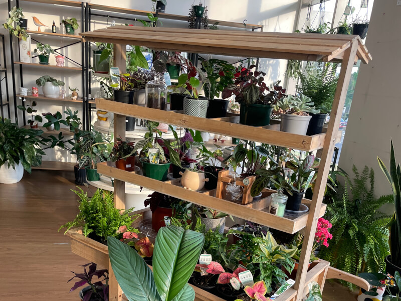 Botanical Studio