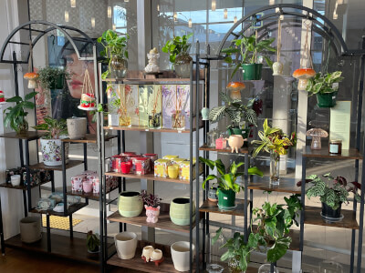 Book Botanical Studio