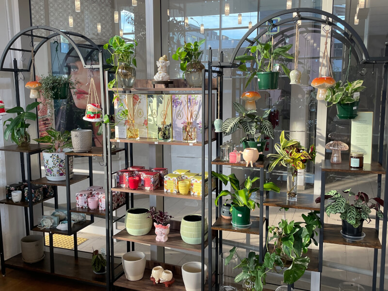 Botanical Studio