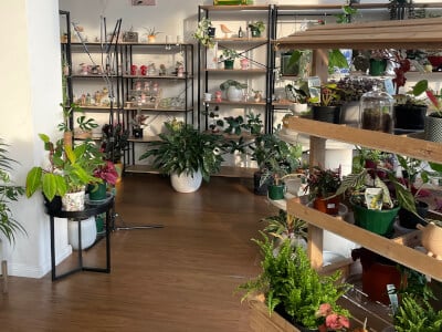 Botanical Studio class venue
