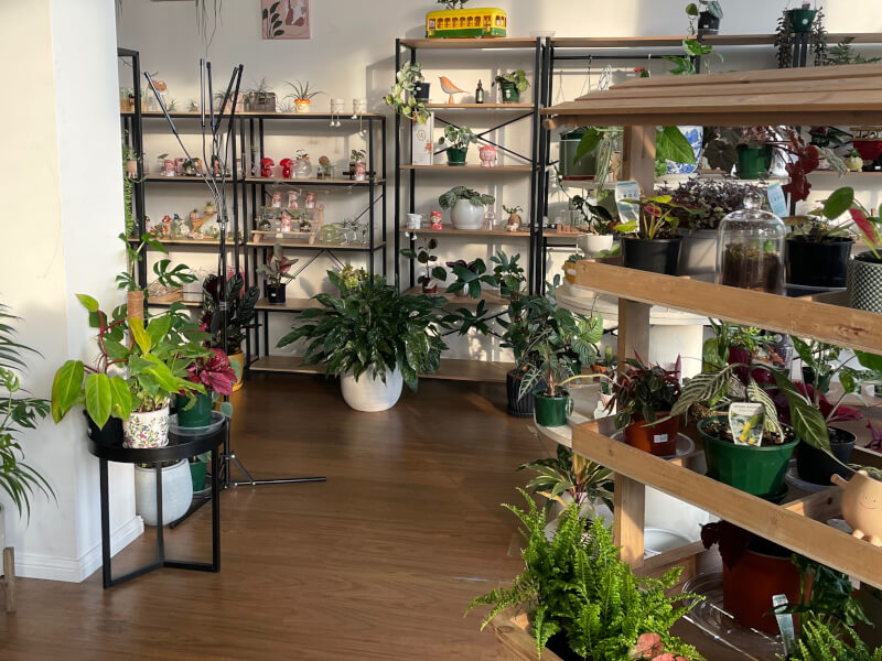 Botanical Studio