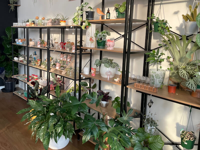 Botanical Studio available for workshops