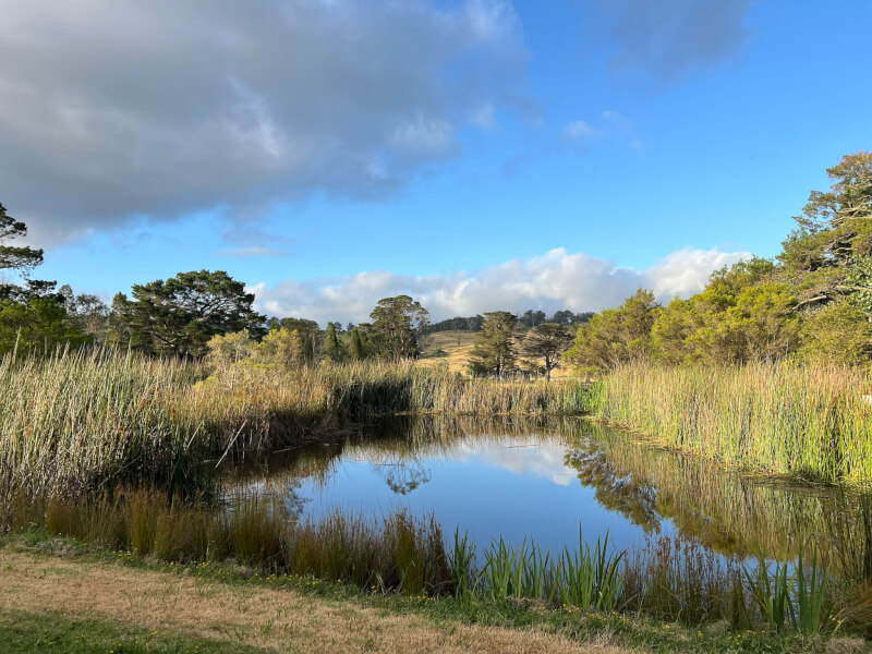 Bowral Honey Farm