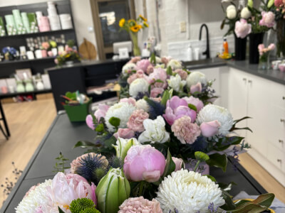 Bunty and Fuzz Design Studio available for workshops